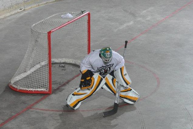 ball hockey goalie