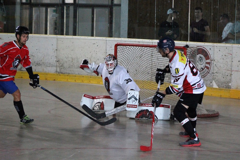 ball hockey goalie