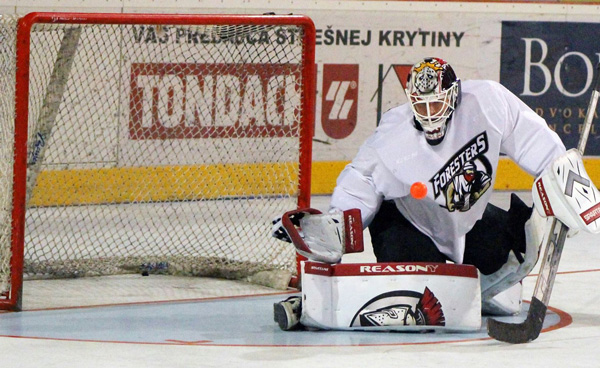 ball hockey goalie pads