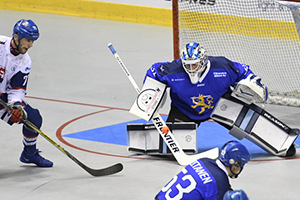 Goalie Pads, Pop's Pro Ball Hockey Series